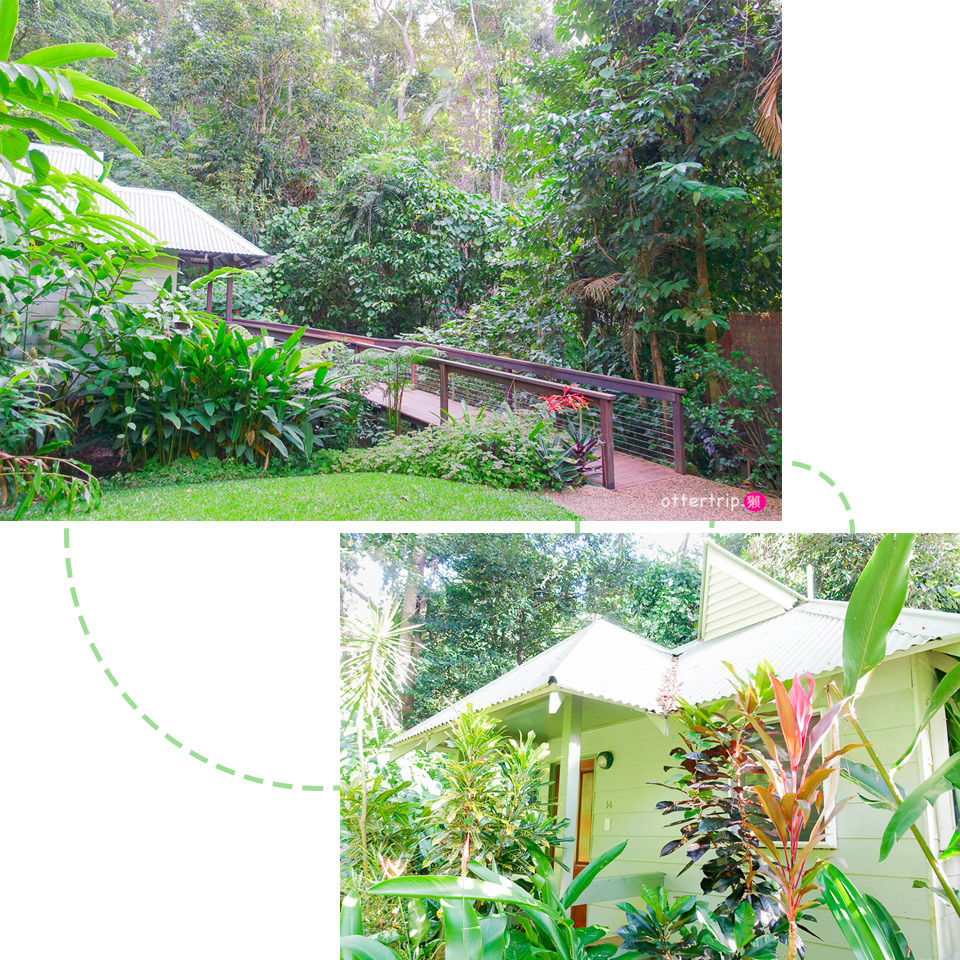 澳洲Daintree住宿推薦 Daintree Eco Lodge 擁有熱帶雨林和潟湖的生態旅館