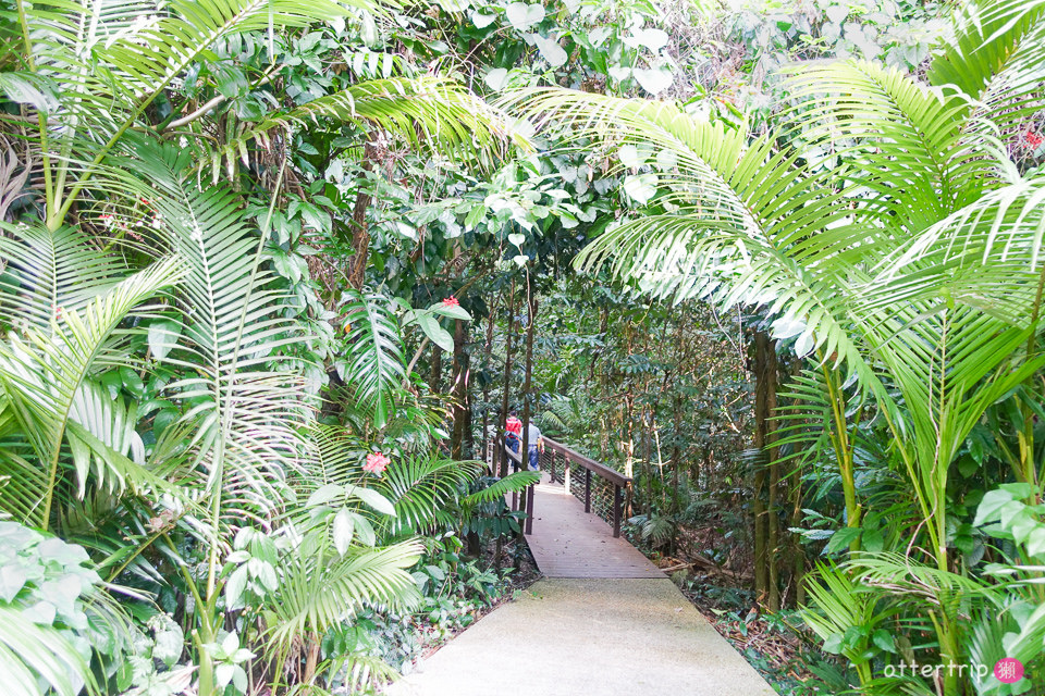 澳洲Daintree住宿推薦 Daintree Eco Lodge 擁有熱帶雨林和潟湖的生態旅館