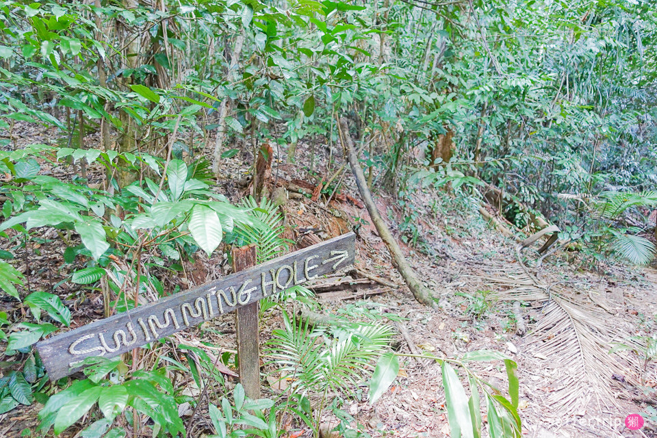 澳洲Daintree住宿推薦 Daintree Eco Lodge 擁有熱帶雨林和潟湖的生態旅館