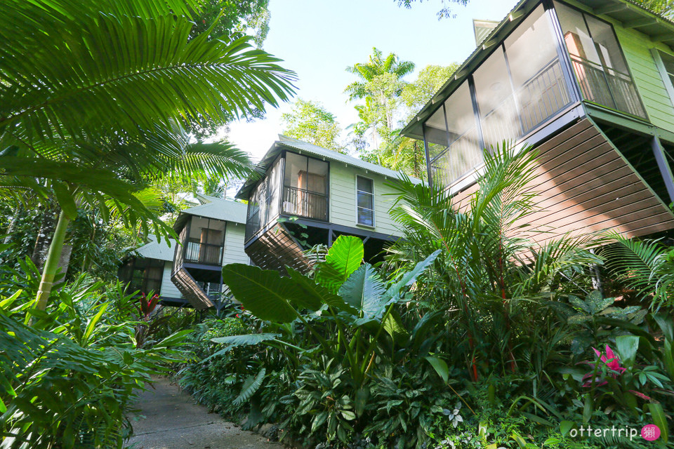 澳洲Daintree住宿推薦 Daintree Eco Lodge 擁有熱帶雨林和潟湖的生態旅館