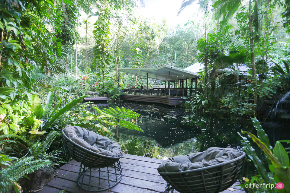 澳洲Daintree住宿推薦 Daintree Eco Lodge 擁有熱帶雨林和潟湖的生態旅館