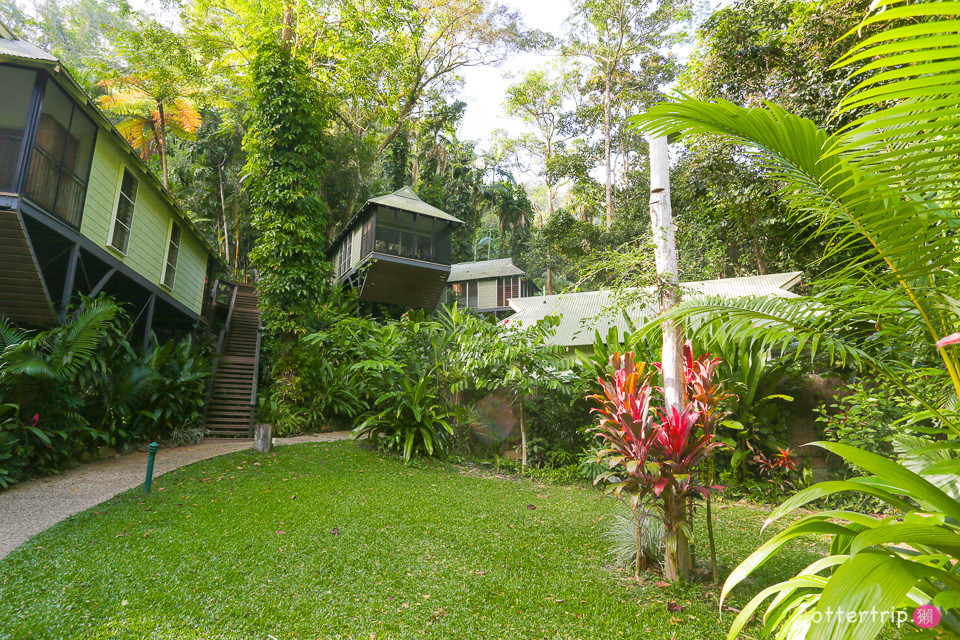 澳洲Daintree住宿推薦 Daintree Eco Lodge 擁有熱帶雨林和潟湖的生態旅館