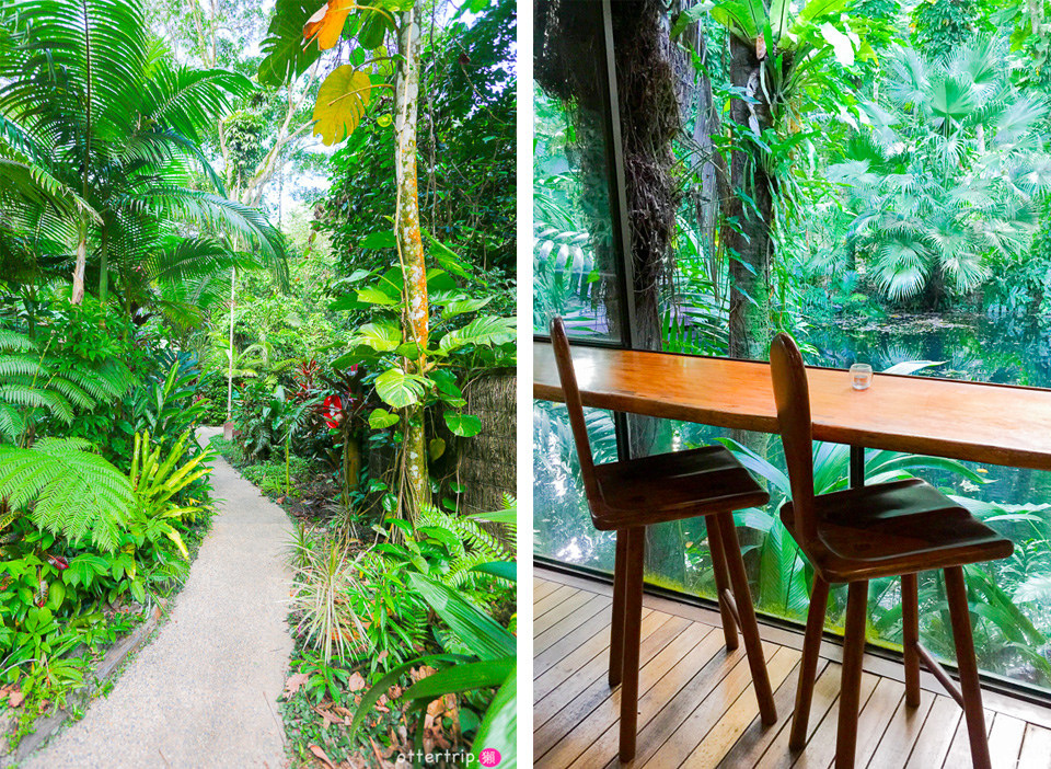 澳洲Daintree住宿推薦 Daintree Eco Lodge 擁有熱帶雨林和潟湖的生態旅館