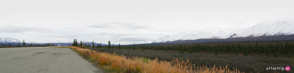 阿拉斯加旅遊 Fairbanks前往Talkeetna的路上風光