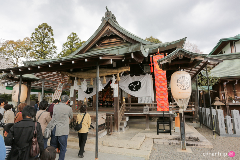 日本犬山賞櫻名所  犬山城，有樂苑裡的國寶茶室-如庵