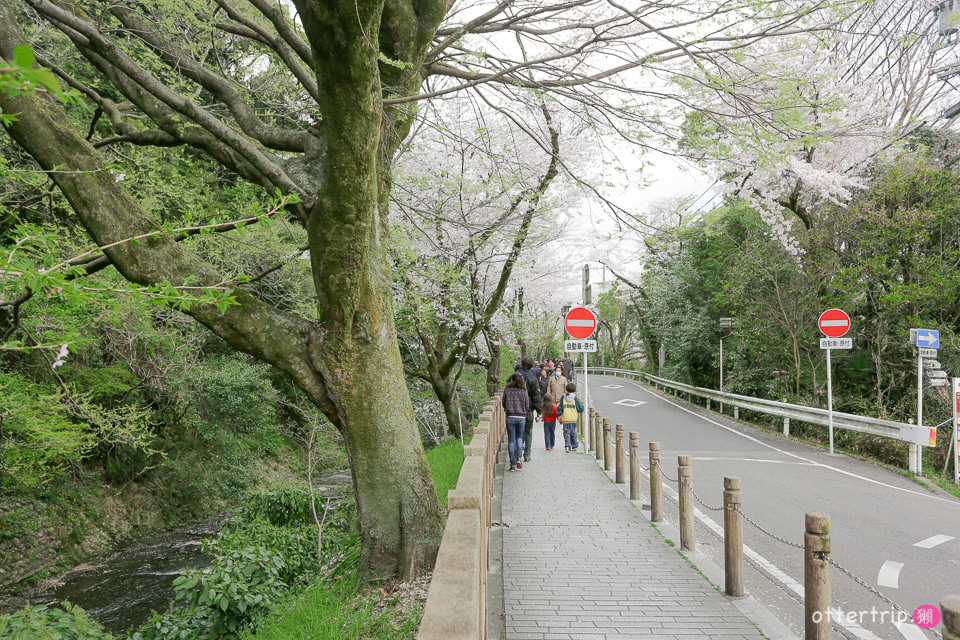 日本犬山賞櫻名所  犬山城，有樂苑裡的國寶茶室-如庵