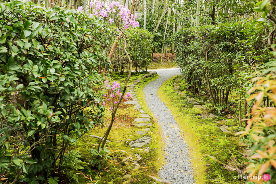 日本犬山賞櫻名所  犬山城，有樂苑裡的國寶茶室-如庵