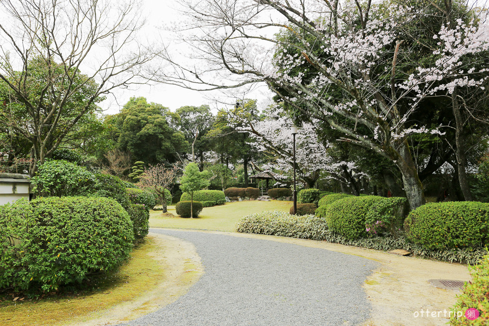 日本犬山賞櫻名所  犬山城，有樂苑裡的國寶茶室-如庵