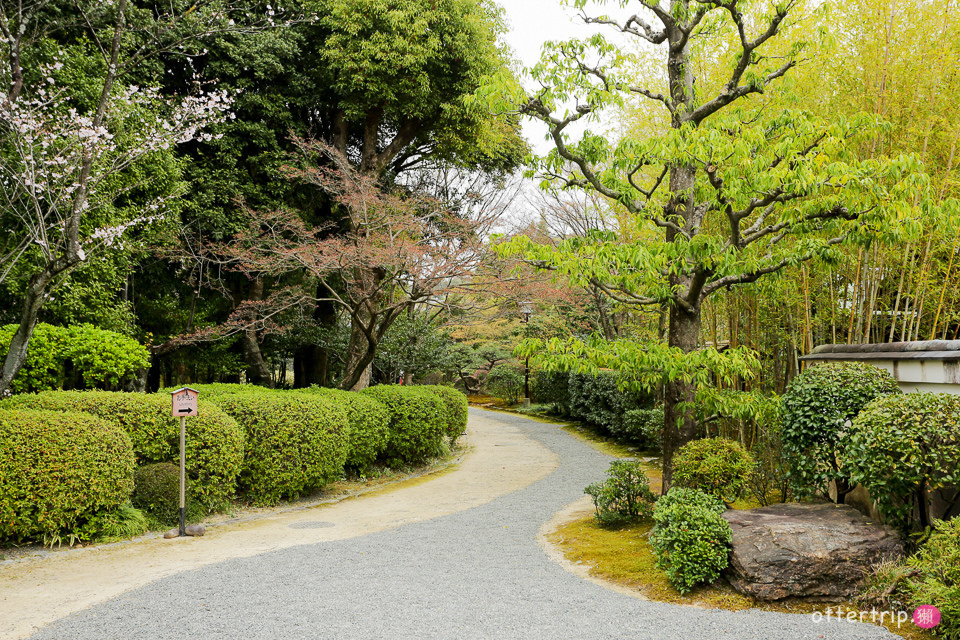 日本犬山賞櫻名所  犬山城，有樂苑裡的國寶茶室-如庵