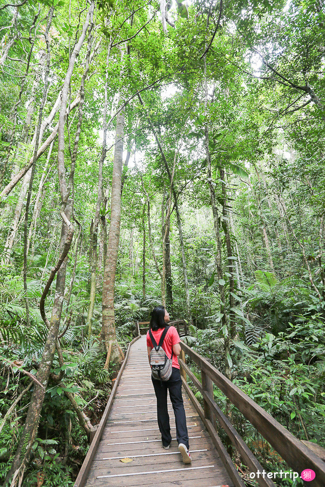 澳洲自駕（雪梨燈光節大堡礁） 花費、戰利品、住宿、餐廳、景點整理