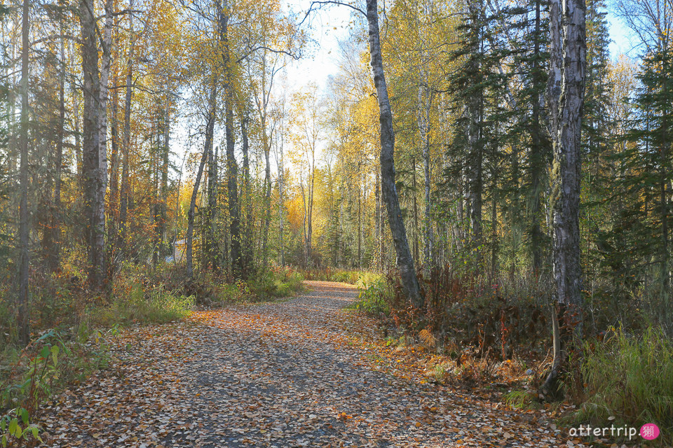 阿拉斯加Talkeetna住宿，餐廳推薦 Talkeetna Love-Lee Cabins床很好睡的小木屋