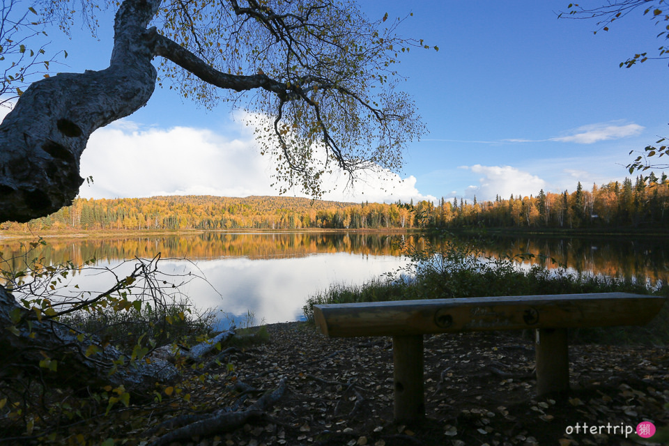 阿拉斯加Talkeetna住宿，餐廳推薦 Talkeetna Love-Lee Cabins床很好睡的小木屋