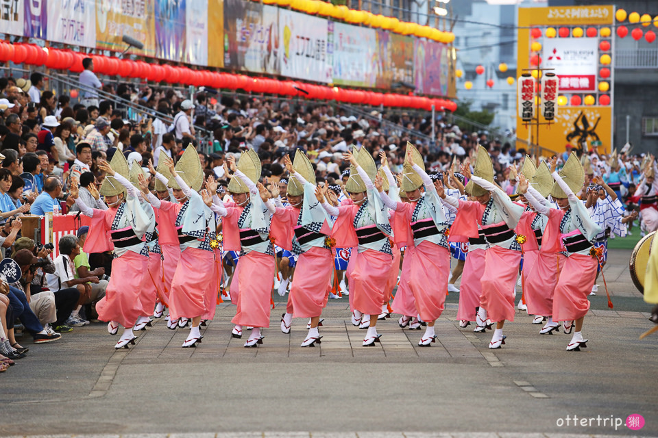 日本四國 德島阿波舞祭 不可錯過的日本夏日祭典