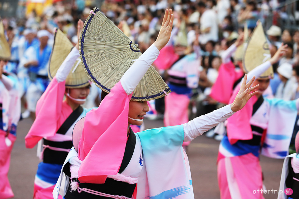 日本四國 德島阿波舞祭 不可錯過的日本夏日祭典