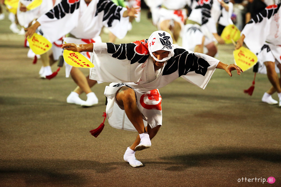 日本四國 德島阿波舞祭 不可錯過的日本夏日祭典