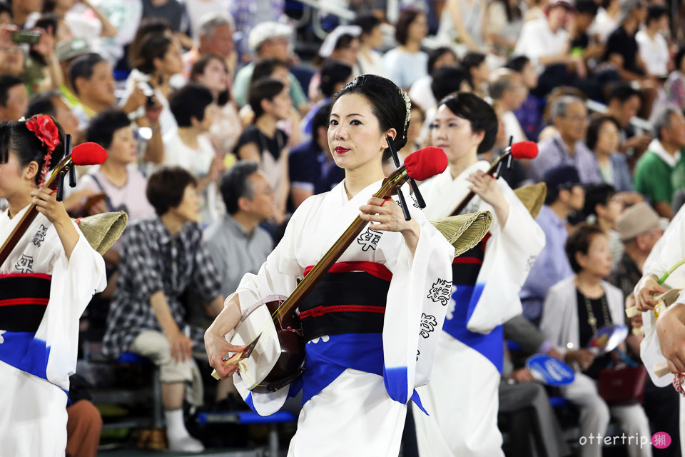 日本四國 德島阿波舞祭 不可錯過的日本夏日祭典