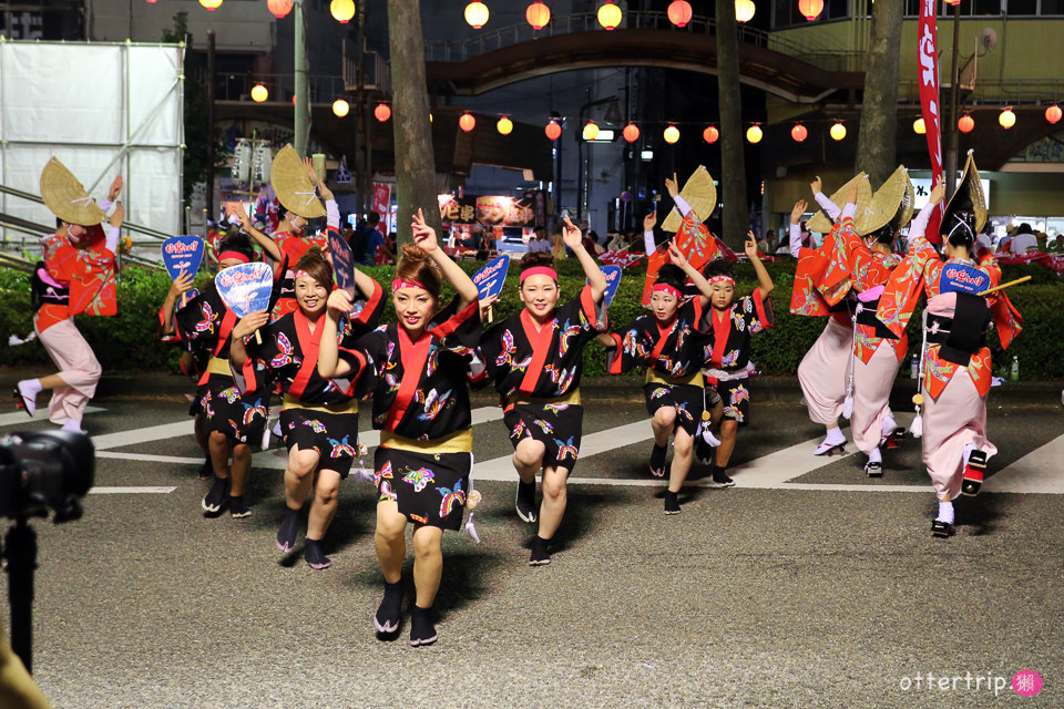 日本四國 德島阿波舞祭 不可錯過的日本夏日祭典