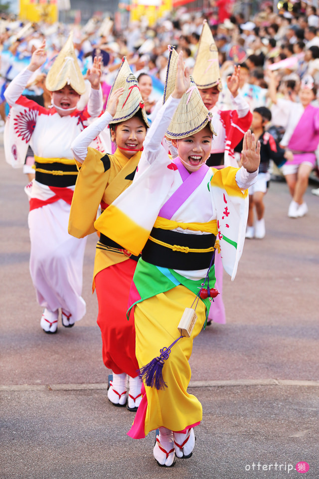 日本四國 德島阿波舞祭 不可錯過的日本夏日祭典