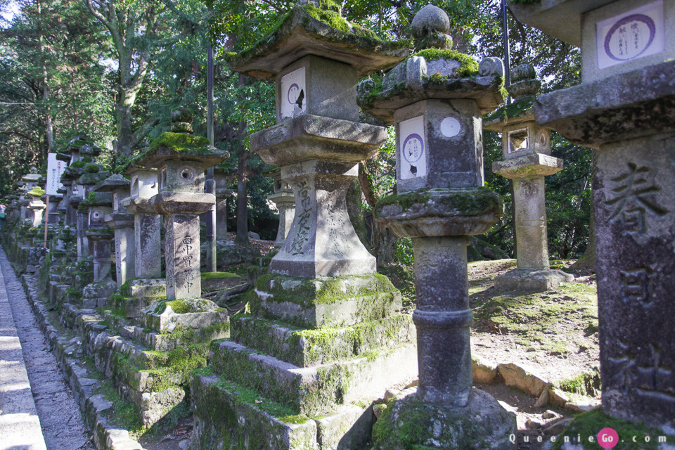 「日本關西奈良」穿越奈良公園看春日大社｀世界遺產東大寺及二月堂