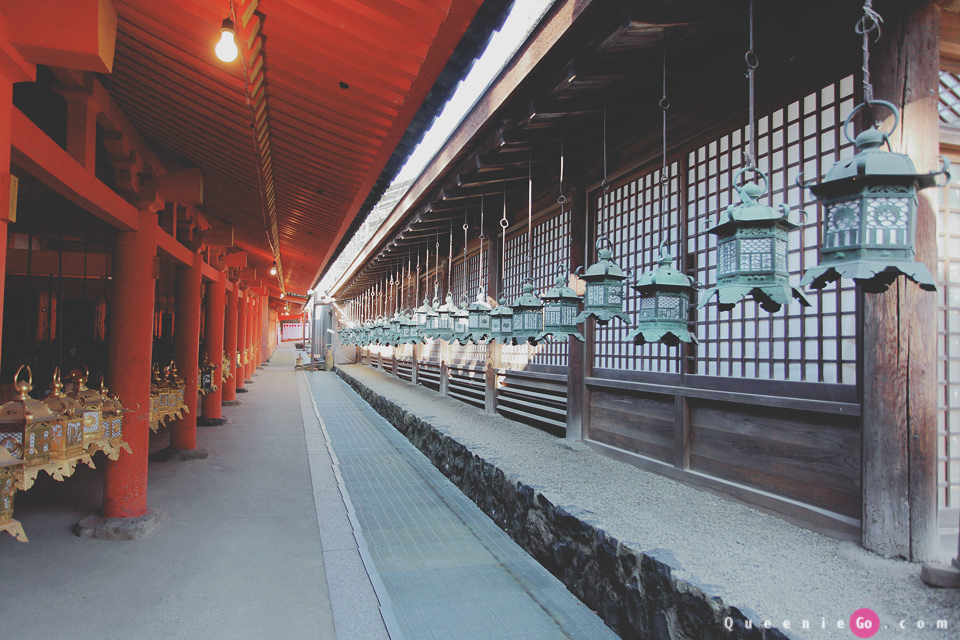 「日本關西奈良」穿越奈良公園看春日大社｀世界遺產東大寺及二月堂