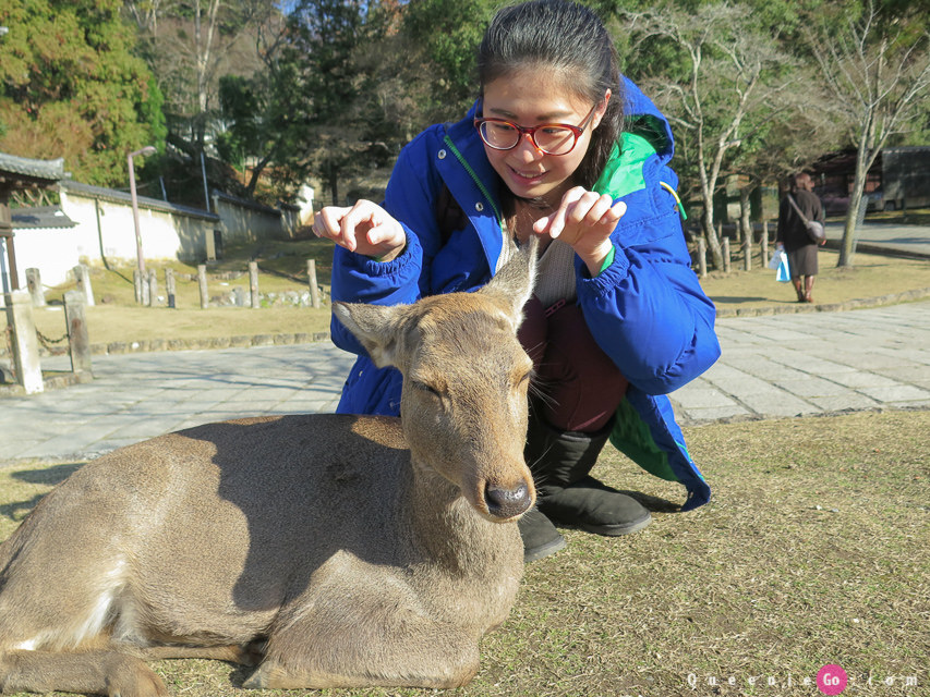 「日本關西奈良」穿越奈良公園看春日大社｀世界遺產東大寺及二月堂