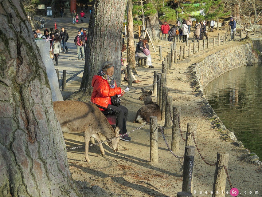 「日本關西奈良」世界遺產東大寺，可以看奈良市景的二月堂