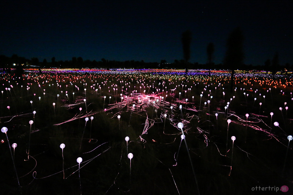 「澳洲北領地」烏魯魯的原野星光藝術裝置展及星光晚宴Field of Light&dinner