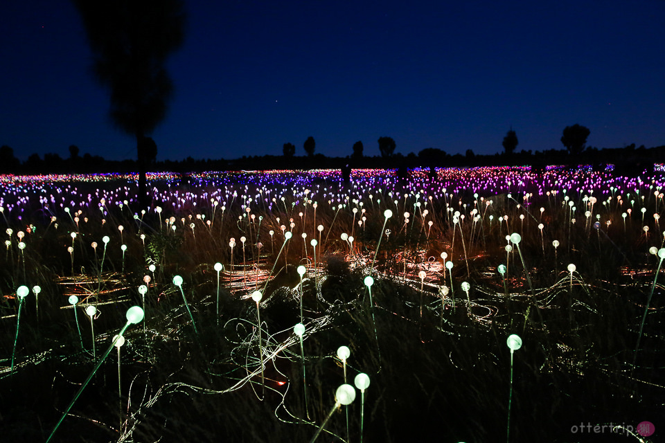 「澳洲北領地」烏魯魯的原野星光藝術裝置展及星光晚宴Field of Light&dinner