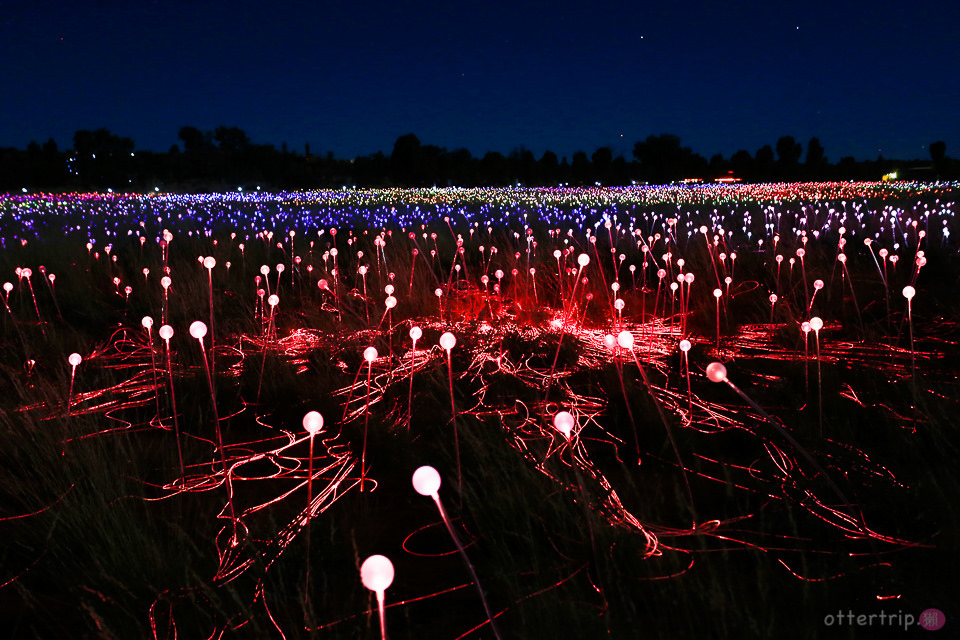 「澳洲北領地」烏魯魯的原野星光藝術裝置展及星光晚宴Field of Light&dinner