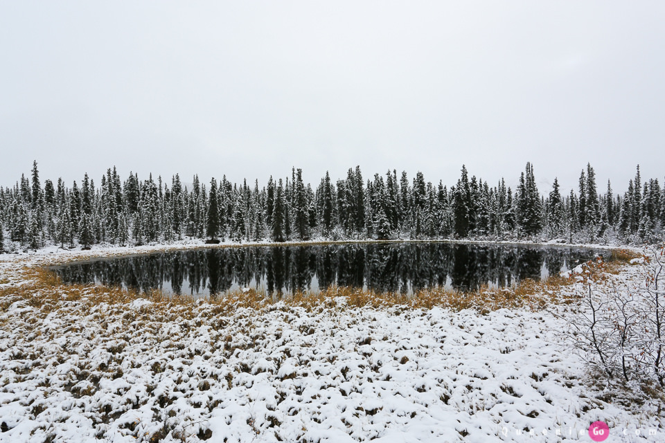 ［阿拉斯加必游景點］迪納利國家公園Denali National Park的初雪