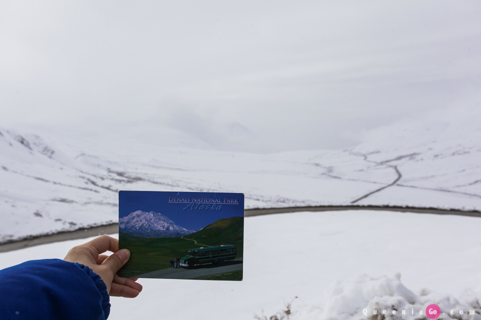 ［阿拉斯加必游景點］迪納利國家公園Denali National Park的初雪