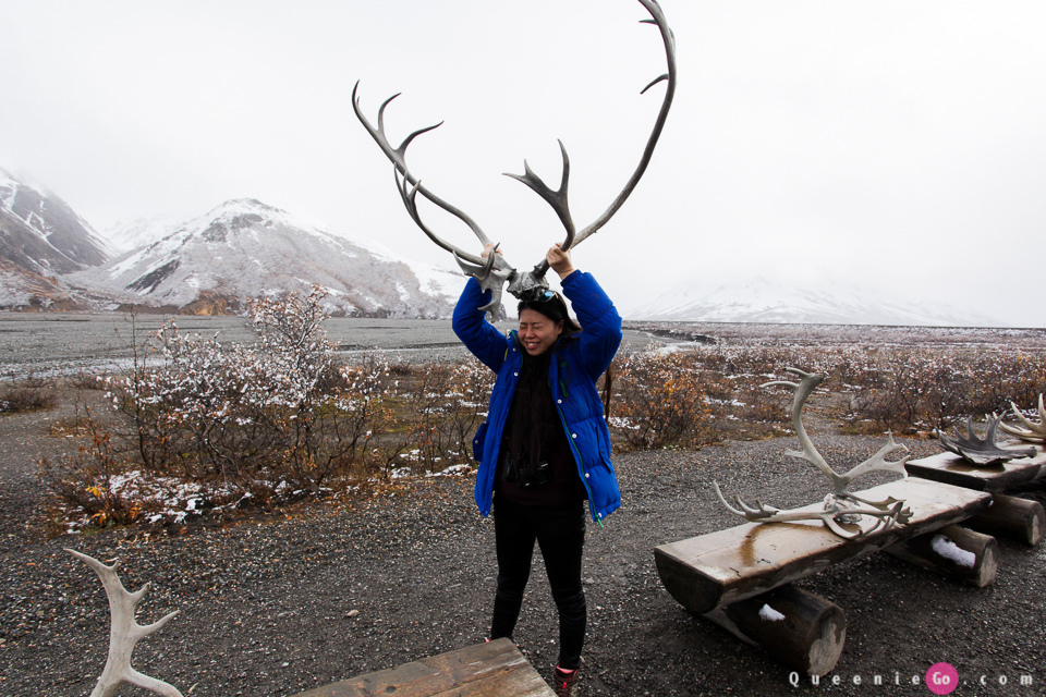 ［阿拉斯加必游景點］迪納利國家公園Denali National Park的初雪