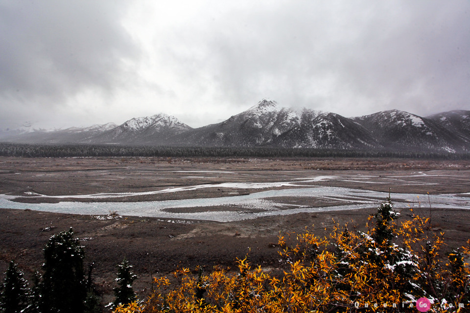 ［阿拉斯加必游景點］迪納利國家公園Denali National Park的初雪