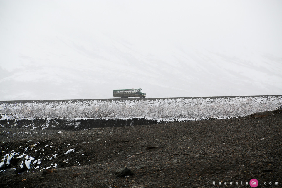 ［阿拉斯加必游景點］迪納利國家公園Denali National Park的初雪