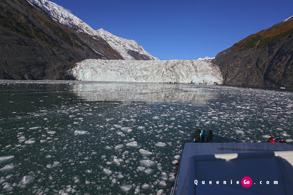 ［阿拉斯加惠蒂爾］在威廉王子灣搭乘Phillips Cruises一次看夠26條冰川