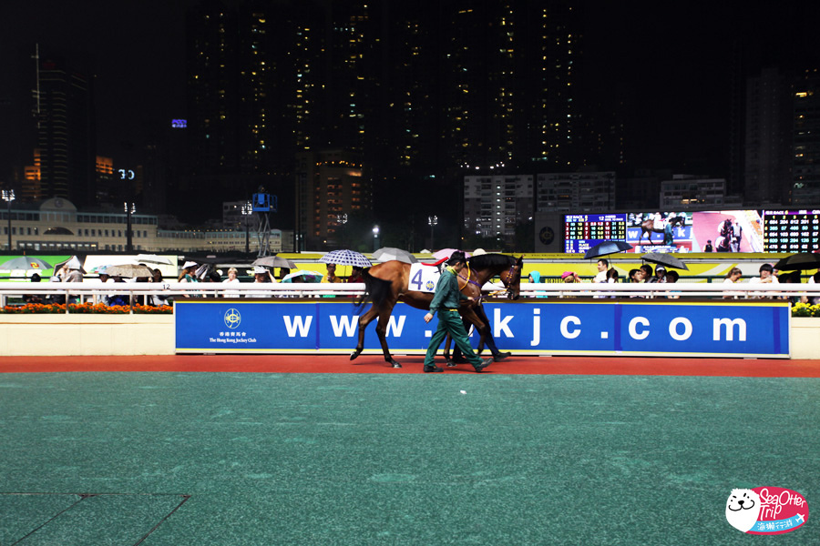 香港 馬運之都 跑馬地看賽馬