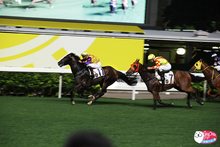 香港 馬運之都 跑馬地看賽馬