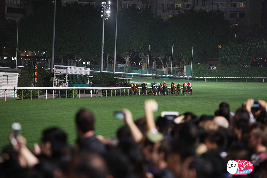 香港 馬運之都 跑馬地看賽馬