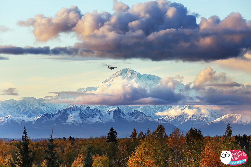 「阿拉斯加Talkeetna」近看北美最高峰－Denali山的絕美飛行記