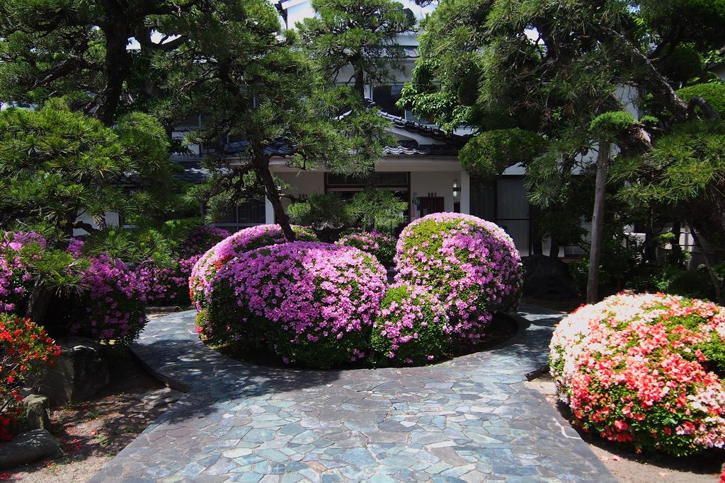 日本九州柳川住宿 家庭日式旅館 若力旅館Wakariki Ryokan 鰻魚飯元祖本吉屋邊上