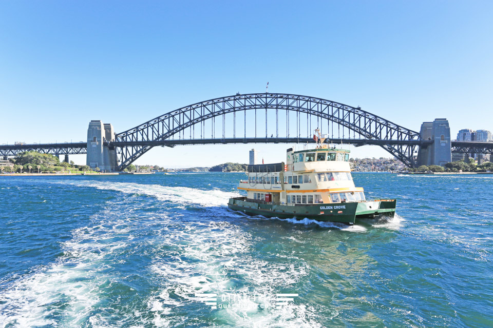 澳洲雪梨景點 captain cook cruises sydney出海賞鯨 Whale Watching Sydney 雪梨親子景點