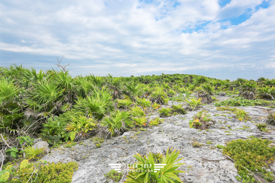 墨西哥圖盧姆 加勒比海的馬雅遺址Tulum Archaeological Site 猶加敦半島景點