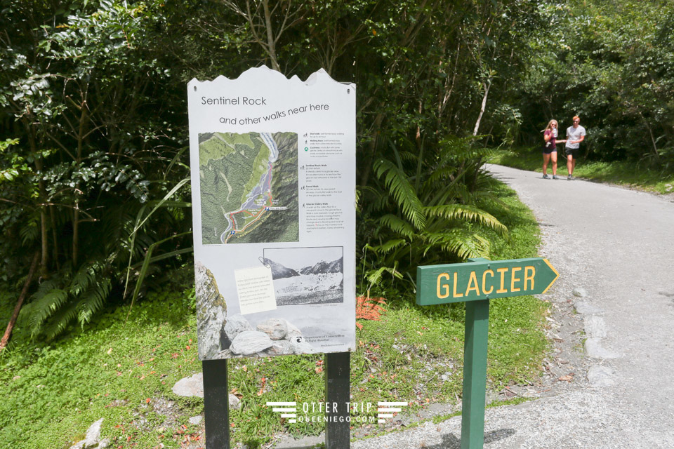 紐西蘭 Fox Glacier&Franz Josef Glacier 冰河徒步道Ka Roimata O Hine Hukatere Track及Fox Glacier Valley Walk