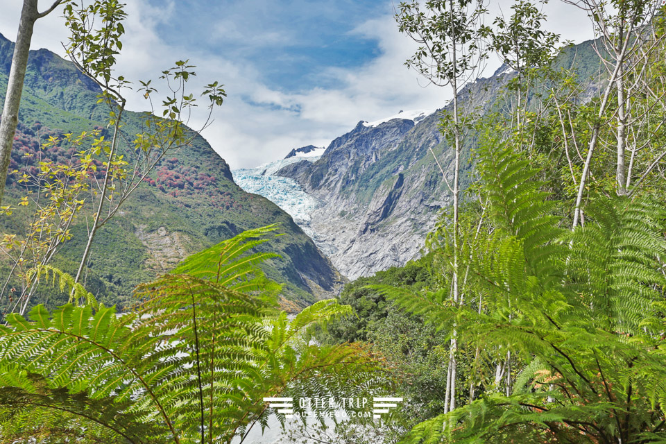 紐西蘭 Fox Glacier&Franz Josef Glacier 冰河徒步道Ka Roimata O Hine Hukatere Track及Fox Glacier Valley Walk