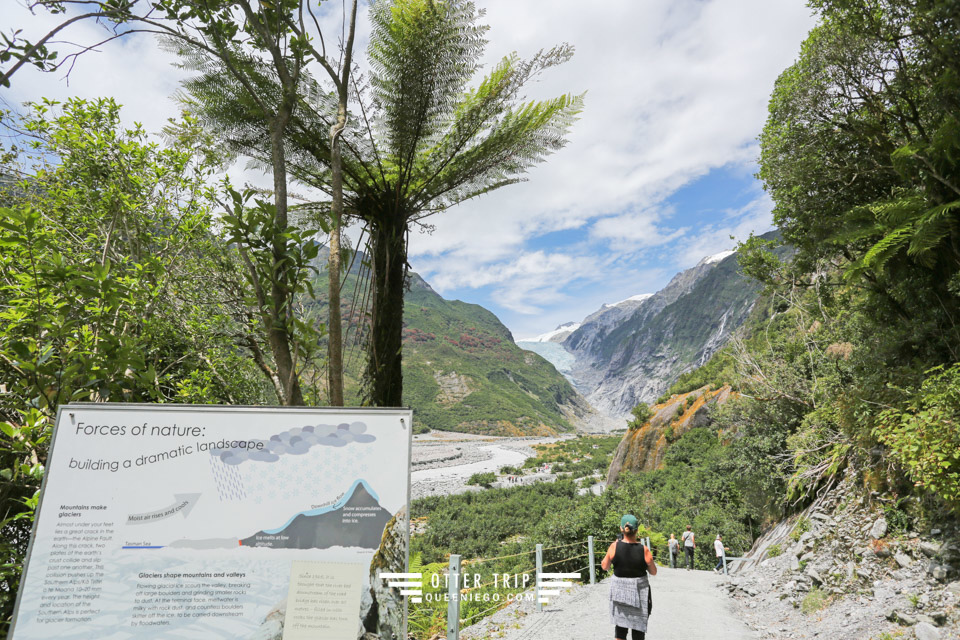 紐西蘭 Fox Glacier&Franz Josef Glacier 冰河徒步道Ka Roimata O Hine Hukatere Track及Fox Glacier Valley Walk