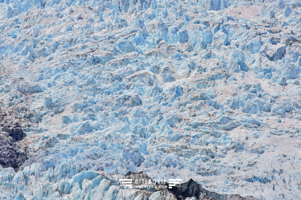 紐西蘭 Fox Glacier&Franz Josef Glacier 冰河徒步道Ka Roimata O Hine Hukatere Track及Fox Glacier Valley Walk