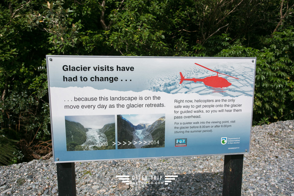 紐西蘭 Fox Glacier&Franz Josef Glacier 冰河徒步道Ka Roimata O Hine Hukatere Track及Fox Glacier Valley Walk