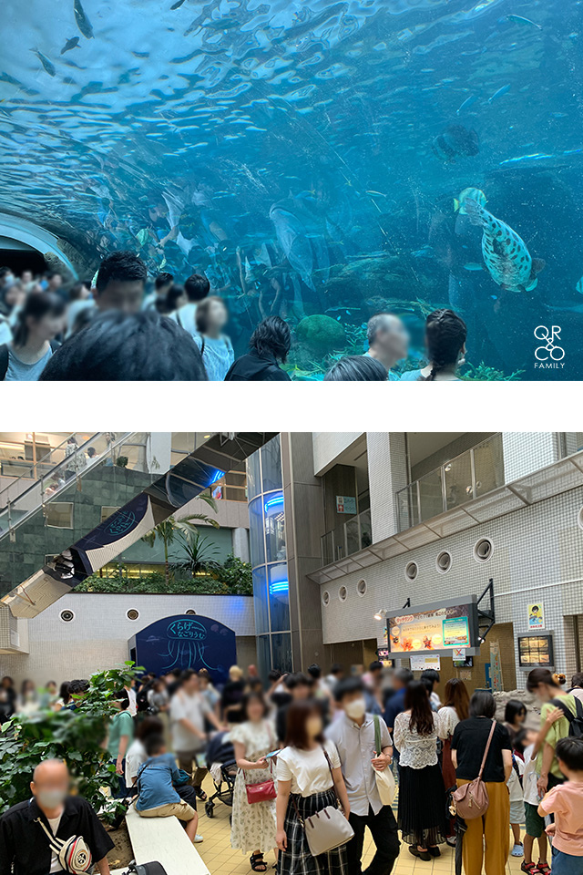 【名古屋親子自由行】名古屋親子旅遊必去景點 名古屋港水族館看