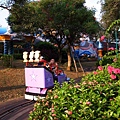 遊園列車