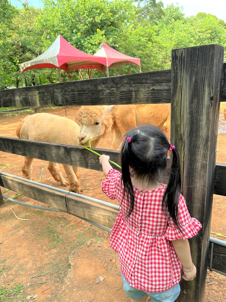 ♪ ♩ ♫~*嘻遊記--桃園楊梅*~♪ ♩ ♫  <埔心牧場